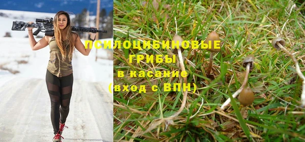 прущий лед Арсеньев