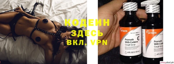прущий лед Арсеньев