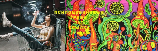 амф Аркадак