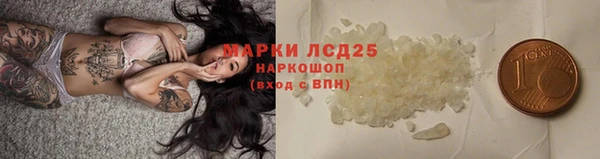 амф Аркадак