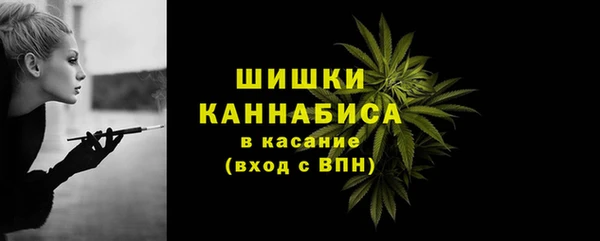 амф Аркадак