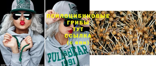 прущий лед Арсеньев