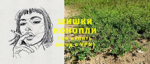 амф Аркадак