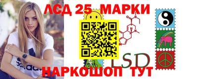 скорость Кингисепп