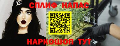 скорость Кингисепп