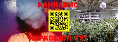 скорость Кингисепп