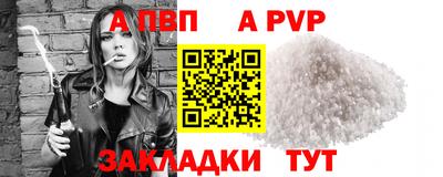 скорость Кингисепп