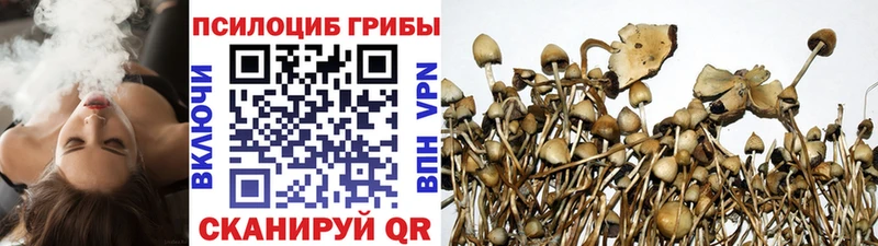 гидра ТОР  Кирово-Чепецк  Галлюциногенные грибы MAGIC MUSHROOMS 