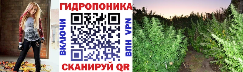 закладка  Кирово-Чепецк  Бошки марихуана план 